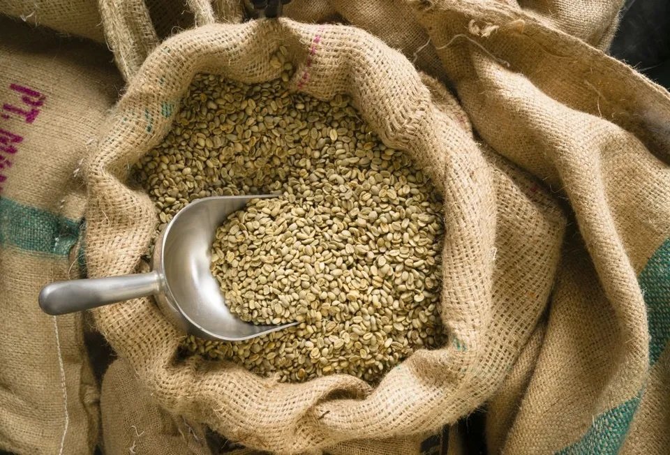 Brazil Green Coffee Beans